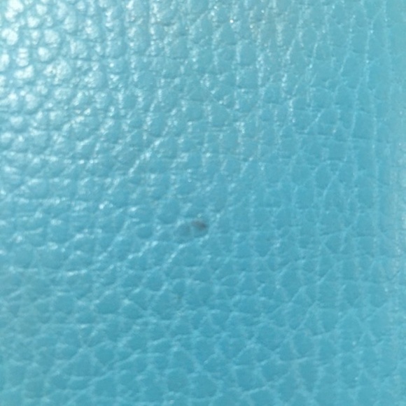 Trish McEvoy Petite Blue Leather Makeup Planner - Picture 5 of 14